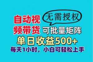 自动视频带货,可批量矩阵,单日收益500+、轻松实现睡后收益,小白可…-AI学习资源网