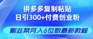 拼多多复制粘贴日引300+付费创业粉,割韭菜月入6位数最新教程!-AI学习资源网