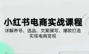 小红书从0-1实操课(2023-2025),详解养号、选品、文案撰写、爆款打造实现电商变现-AI学习资源网