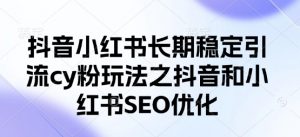 抖音小红书长期稳定引流cy粉玩法之抖音和小红书SEO优化-AI学习资源网