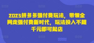 2025拼多多强付费玩法,带领全网走强付费新时代,玩法投入不超千元即可起店-AI学习资源网
