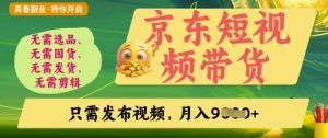 京东短视频带货,开启零门槛躺Z新时代【揭秘】-AI学习资源网