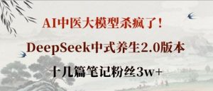 AI中医大模型杀疯了!DeepSeek中式养生2.0版本,十几篇笔记粉丝3w+-AI学习资源网