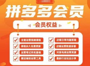 2025拼多多运营实战课,40节全流程教学,覆盖拼多多运营全链路-AI学习资源网
