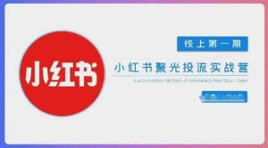 小红书聚光陪跑第一期,教你从0到1玩转小红书聚光投流,搭建小红书付费投流团队,更快的见到效果-AI学习资源网