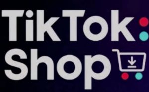 TikTokShop跨境电商0-1实战,手把手教你低成本启动海外市场-AI学习资源网