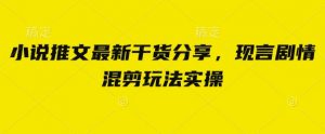 小说推文最新干货分享,现言剧情混剪玩法实操-AI学习资源网