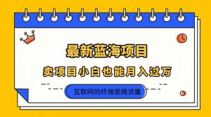 2025年最新蓝海项目,卖项目小白也能月入过万-AI学习资源网