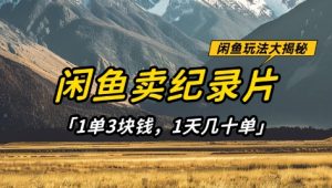 闲鱼卖纪录片1单3块钱,1天几十单,项目稳定有潜力-AI学习资源网