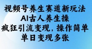 视频号养生赛道新玩法,AI古人养生操,疯狂引流变现,操作简单,单日变现多张-AI学习资源网