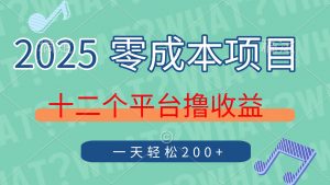 2025年零成本项目,十二个平台撸收益,单号一天轻松200+-AI学习资源网