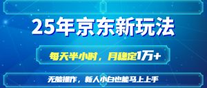 25京东新玩法,每天半小时,月稳定1W+-AI学习资源网