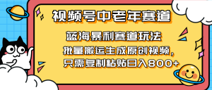 2025视频号中老年短视频蓝海暴利风口!复制粘贴搬运视频单日赚800+,无…-AI学习资源网