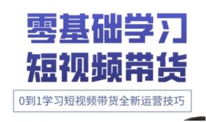 快手运营+高阶剪辑实战课,0到1学习短视频带货全新运营技巧-AI学习资源网