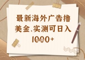 最新海外广告联盟挂机撸美金项目,实测可日入多张【揭秘】-AI学习资源网