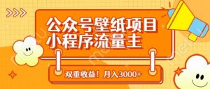 公众号壁纸项目,小程序流量主双收益,月入3000+-AI学习资源网