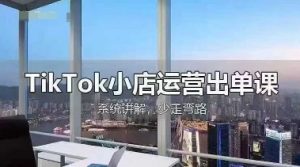 TikTok小店运营出单课,从开店选品、运营出单、发货回款,进行全流程讲解-AI学习资源网