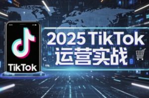 2025TikTok电商运营,掌握TikTok店铺运营核心技巧,实现低成本高转化-AI学习资源网