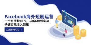 Facebook海外短剧运营:一个月涨粉10万,从0基础到实战,快速实现收入到账-AI学习资源网