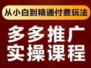 拼多多推广实操课程,从小白到精通付费玩法-AI学习资源网