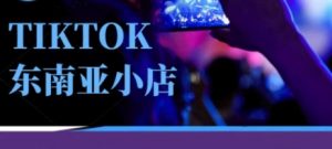 Tiktok东南亚跨境小店运营班,一门专业的TK小店运营培训课-AI学习资源网