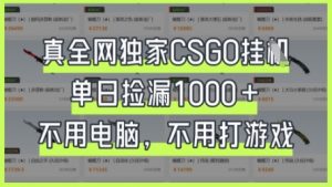 真全网独家CSGO挂G,单日捡漏1k+【揭秘】-AI学习资源网
