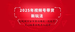 2025年视频号带货新玩法:AI炮制百分百原创爆款,稳起号,T+1结算实现月入过万-AI学习资源网