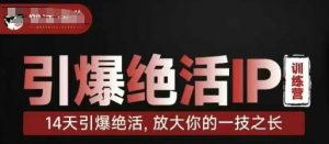 引爆绝活IP训练营,14天引爆绝活,放大你的一技之长-AI学习资源网