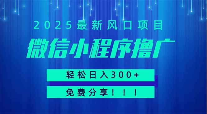 微信小程序撸广，最新风口项目，日入300+ 免费分享 可批量操作 小白可…-AI学习资源网