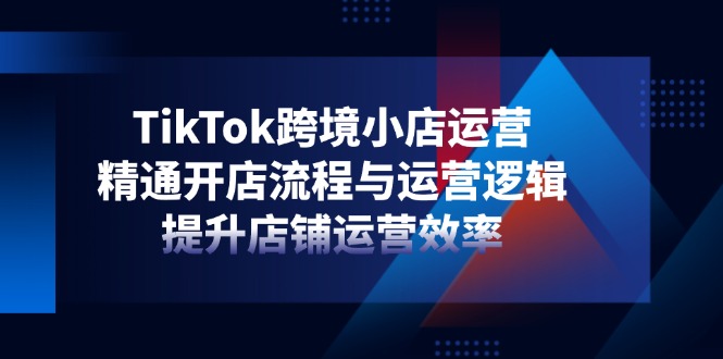 TikTok跨境小店运营，精通开店流程与运营逻辑，提升店铺运营效率-AI学习资源网
