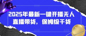 2025年最新一键开播无人直播带货,保姆级干货-AI学习资源网
