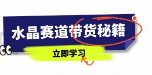 水晶赛道带货秘籍,国学结合、短视频起号、拍摄技巧、直播话术等内容-AI学习资源网