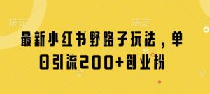 最新小红书野路子玩法,单日引流200+创业粉-AI学习资源网