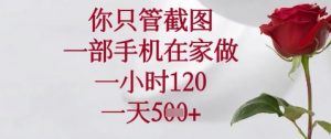 你只管截图,一部手机在家做,苹果安卓都可以,一小时120,一天5张+【揭秘】-AI学习资源网