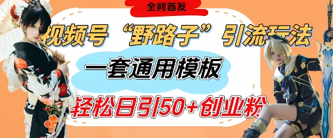 视频号“野路子”玩法，评论区疯狂截流，一套模板单日单号引流50+创业粉-AI学习资源网