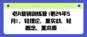 老A营销训练营(更25年4月),轻理论,重实战,轻概念,重本质-AI学习资源网