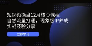 短视频操盘12月核心课程:自然流量打通,现象级IP养成,实战经验分享-AI学习资源网