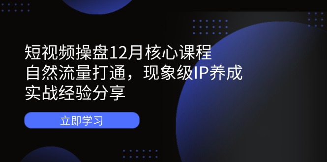短视频操盘12月核心课程：自然流量打通，现象级IP养成，实战经验分享-AI学习资源网