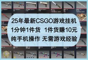 25年最新CSGO游戏挂机,1分钟1件货,1件货赚10元 纯手机操作 无需游戏经验-AI学习资源网