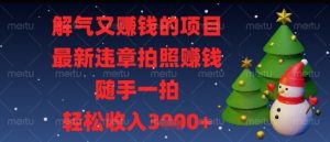 解气又挣钱的项目,最新违章拍照挣钱,随手一拍,轻松收入多张【揭秘】-AI学习资源网