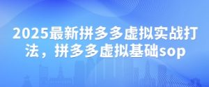 2025最新拼多多虚拟实战打法,拼多多虚拟基础sop-AI学习资源网