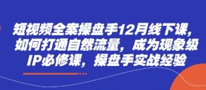 短视频全案操盘手12月线下课,如何打通自然流量,成为现象级IP必修课,操盘手实战经验-AI学习资源网