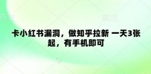 卡小红书漏洞,做知乎拉新 一天3张起,有手机即可-AI学习资源网