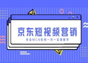 京东短视频营销项目,专业MCN机构一对一实操教学-AI学习资源网