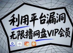 利用平台漏洞,无限撸网盘VIP会员,用户亲测有效!【漏洞原理+操作演示】-AI学习资源网