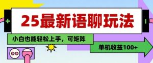 25年最新语聊玩法,纯手工,单机收益100+,小白也能轻松上手,可矩阵操作-AI学习资源网