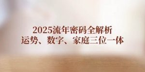 2025流年密码全解析,运势、数字、家庭三位一体-AI学习资源网