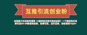 【0撸项目互推引流创业粉】一个微信每天免费引流30-50精准创业粉,免费引流,当天见效,轻松变现几张-AI学习资源网