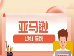 亚马逊1对1陪跑课(FBA/FBM精铺)跨境亚马逊教程-AI学习资源网
