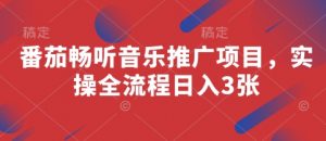 番茄畅听音乐推广项目,实操全流程日入3张-AI学习资源网